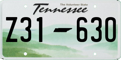 TN license plate Z3163O