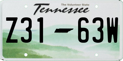 TN license plate Z3163W