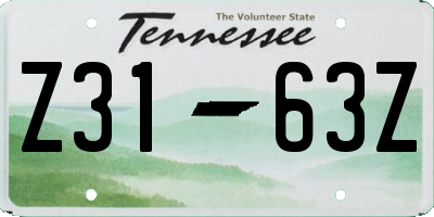 TN license plate Z3163Z