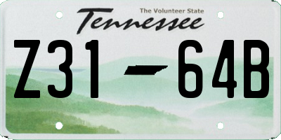 TN license plate Z3164B