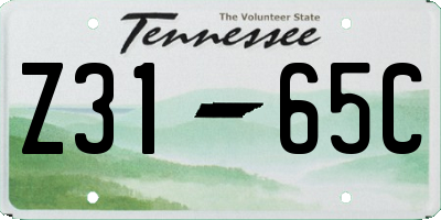 TN license plate Z3165C