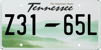 TN license plate Z3165L
