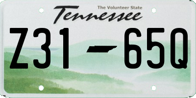 TN license plate Z3165Q