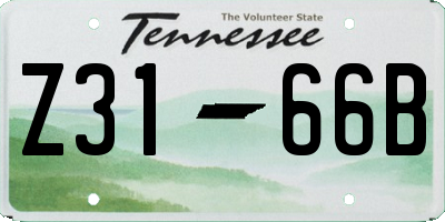 TN license plate Z3166B