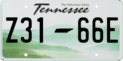 TN license plate Z3166E