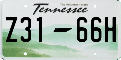 TN license plate Z3166H