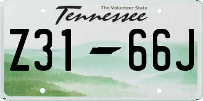 TN license plate Z3166J