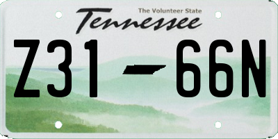 TN license plate Z3166N