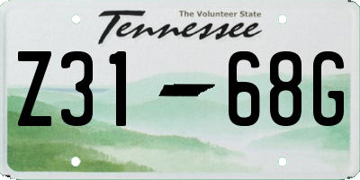 TN license plate Z3168G