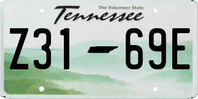 TN license plate Z3169E