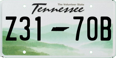 TN license plate Z3170B
