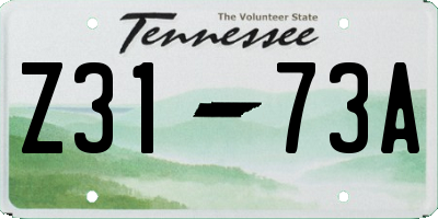TN license plate Z3173A