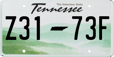 TN license plate Z3173F