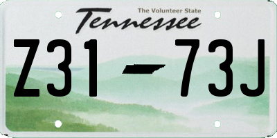 TN license plate Z3173J