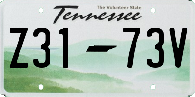 TN license plate Z3173V