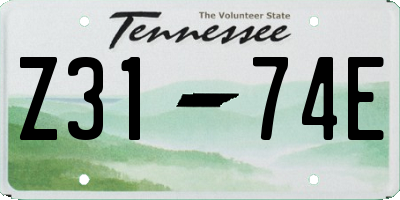 TN license plate Z3174E
