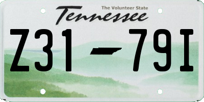 TN license plate Z3179I
