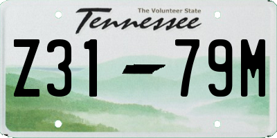 TN license plate Z3179M