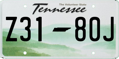 TN license plate Z3180J