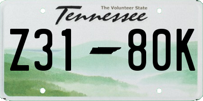 TN license plate Z3180K