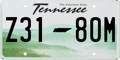 TN license plate Z3180M