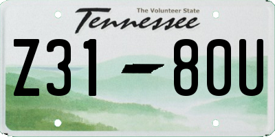 TN license plate Z3180U