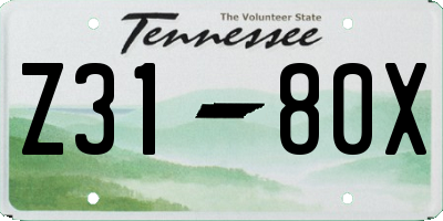 TN license plate Z3180X