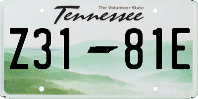 TN license plate Z3181E