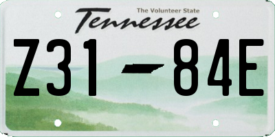 TN license plate Z3184E