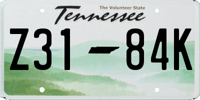 TN license plate Z3184K