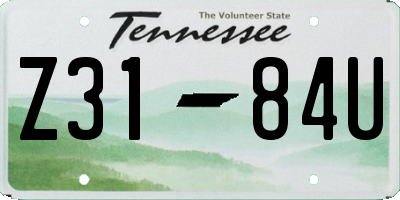 TN license plate Z3184U