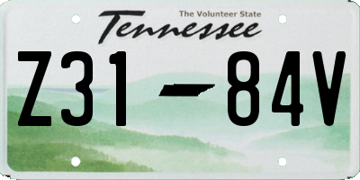 TN license plate Z3184V