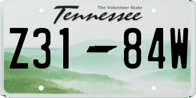 TN license plate Z3184W