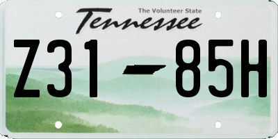 TN license plate Z3185H