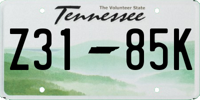 TN license plate Z3185K