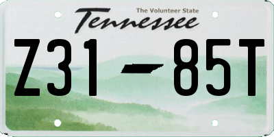 TN license plate Z3185T
