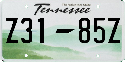 TN license plate Z3185Z