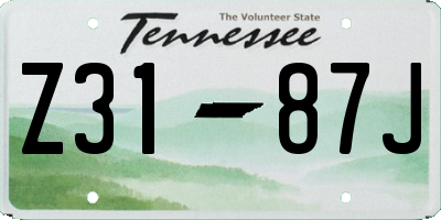 TN license plate Z3187J