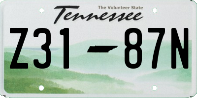 TN license plate Z3187N