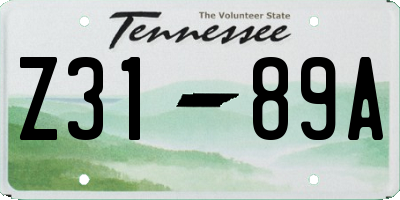 TN license plate Z3189A