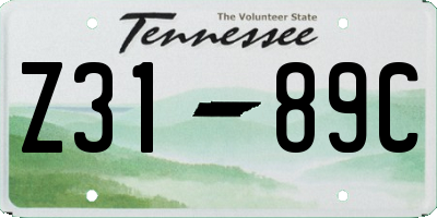 TN license plate Z3189C