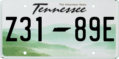TN license plate Z3189E