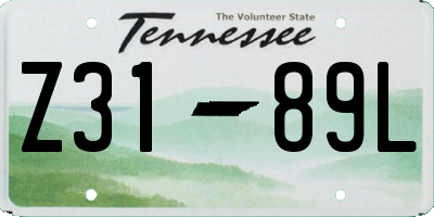 TN license plate Z3189L