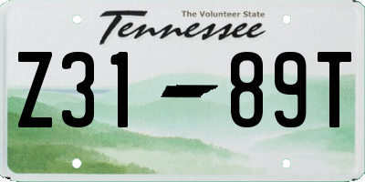 TN license plate Z3189T
