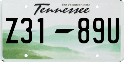 TN license plate Z3189U