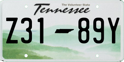TN license plate Z3189Y