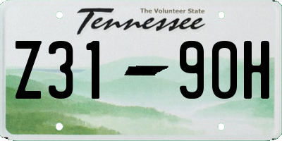 TN license plate Z3190H