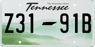 TN license plate Z3191B