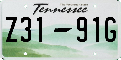 TN license plate Z3191G