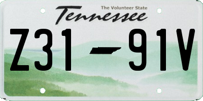 TN license plate Z3191V